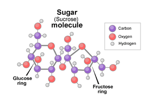 sugar-molecule-1
